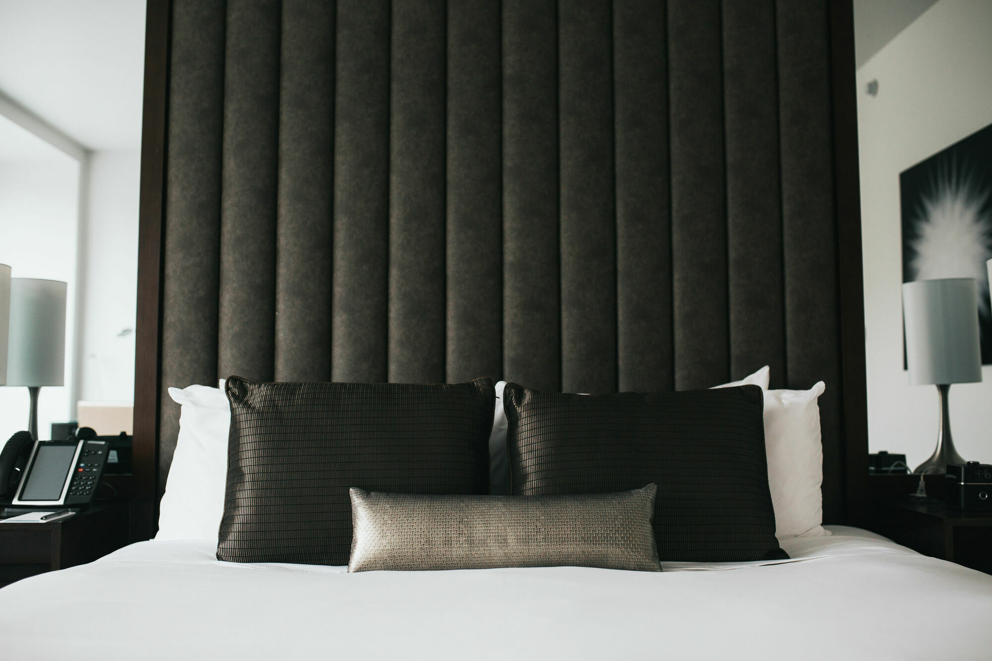 Graduate By Hilton Dallas Room photo